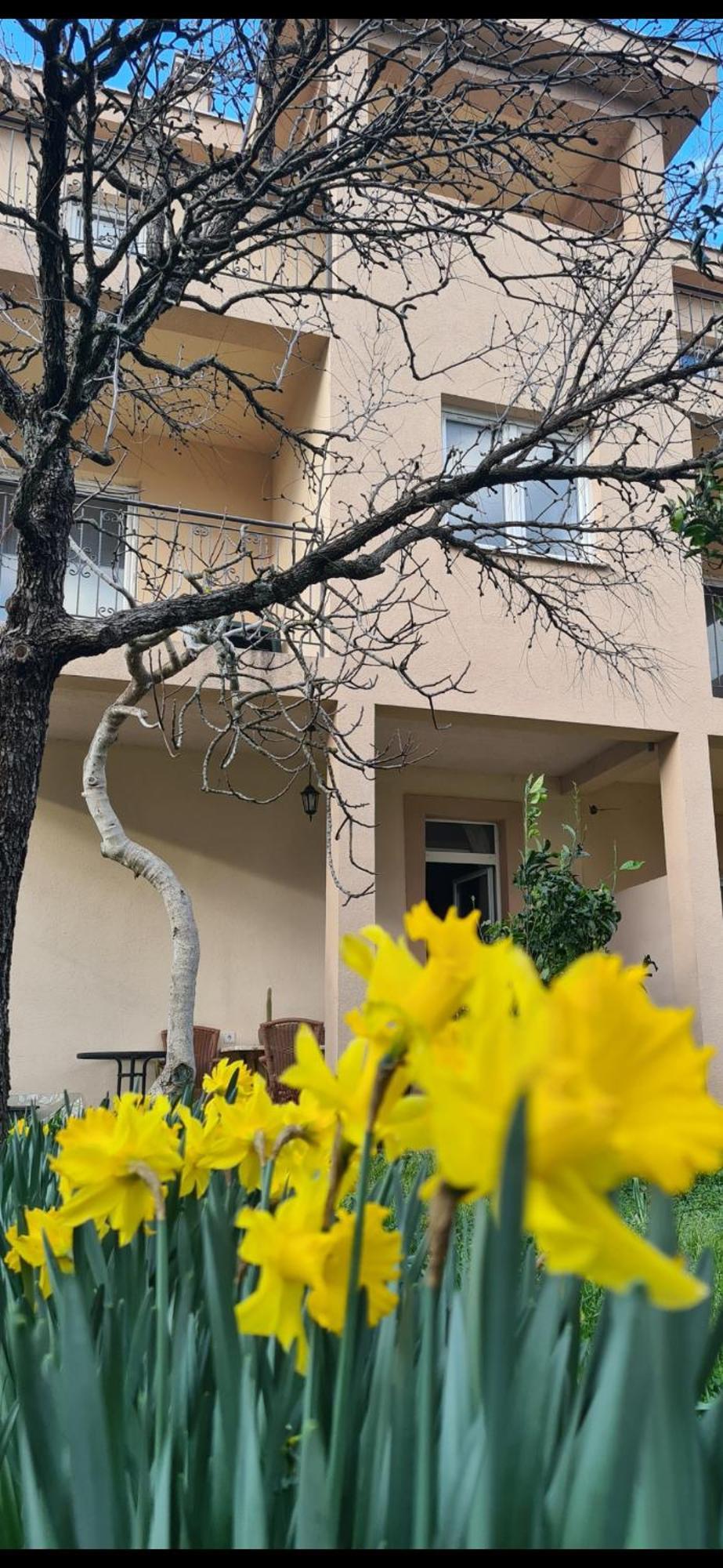 Casa M Apartment Tivat Exterior photo